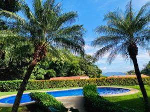 two palm trees and a swimming pool in a garden at Bahia Pez Vela Resort in Ocotal