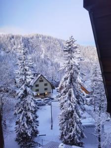 a cabin in the snow with snow covered trees at Nivalis Residence *apartman 20* in Jahorina