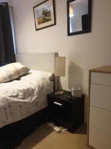 ビショップス・ストートフォードにあるFully equipped Large 3 bedroomのベッドルーム1室(ベッド1台、ナイトスタンド、ランプ付)