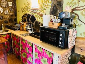 a microwave sitting on a counter in a kitchen at Kuća za odmor Bajka in Jastrebarsko