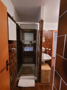 a small bathroom with a shower and a sink at Over The Snow Apartment in Borgata Sestriere