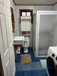Baño pequeño con aseo y lavamanos en Cabañas "El Cazador", en Futaleufú