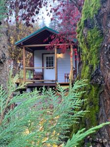 Umpqua's Last Resort - Wilderness Cabins, RV Park & Glamping外面的花园