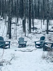 Livingston ManorCozy Cottage with Jacuzzi and Fire Pit and Reading Nook!的树林里雪地里坐着的三张长椅