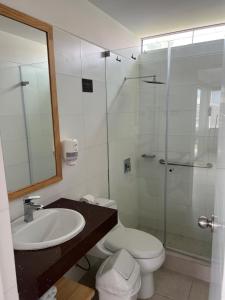 a bathroom with a toilet and a sink and a shower at DM Hoteles Asia in Asia