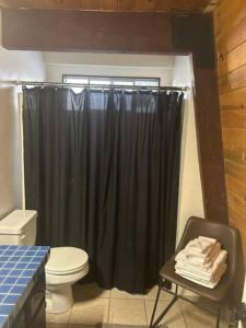 a bathroom with a toilet and a black shower curtain at Cozy Crescent Tree Cabin Near Bear Mountain in Big Bear Lake