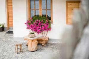 Zahrada ubytování Agriturismo Maso Runch