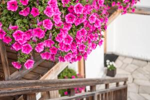 Zahrada ubytování Agriturismo Maso Runch