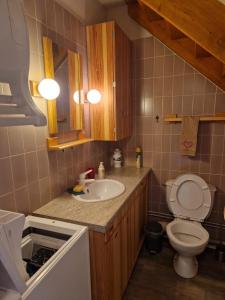 TrévigninにあるTERRES D'HISTOIRES Locationsの小さなバスルーム(洗面台、トイレ付)