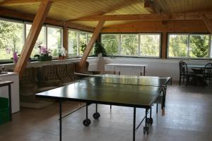 a ping pong table in the middle of a room at Haus Rottenstein in Neukirchen