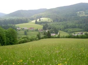 Paesaggio naturale nelle vicinanze dell'appartamento