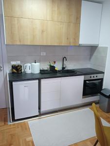 eine Küche mit weißen Schränken und einem Waschbecken in der Unterkunft Welcome Apartments in Niš