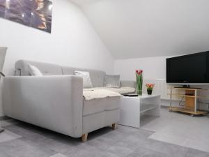 sala de estar con sofá blanco y TV en Apartment an der Schweizer Grenze, en Laufenburg