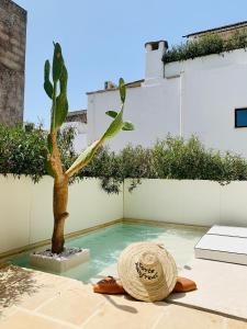The swimming pool at or close to Corte Manfredi