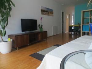 a living room with a flat screen tv on a cabinet at Apartment Schultheiss in Konstanz