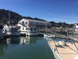 a group of boats docked in a marina at Super cute, cozy houseboat in great location!!! in Sausalito