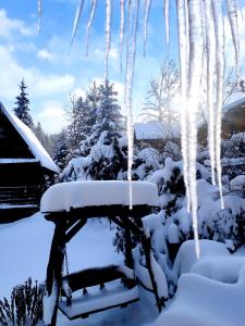 a person standing in the snow next to a bench at BIESIADA in Korbielów