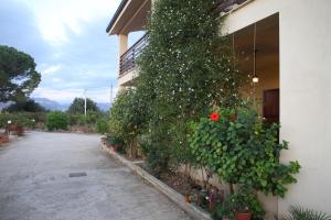 Photo de la galerie de l'établissement "Green" B&B Il Bracco, à Partinico