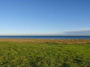 a green field with the ocean in the background at Beach Walk in Kessingland