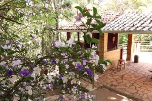 un arbusto con flores púrpuras y blancas delante de una casa en Pousada Evolucao en Macacos