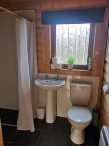 a bathroom with a toilet and a sink and a window at Riverside Lodge in Killiecrankie in Bridge of Tilt