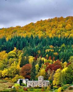 une grande maison au milieu d'une forêt d'arbres dans l'établissement Riverside Lodge in Killiecrankie, à Bridge of Tilt