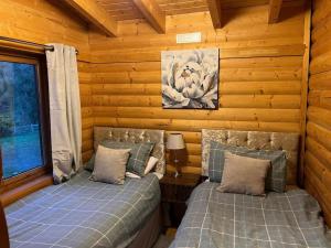 a bedroom with two beds in a log cabin at Riverside Lodge in Killiecrankie in Bridge of Tilt