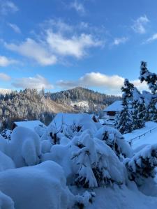 科尔别卢夫Cerla Korbielów的一堆被雪覆盖的树木和一栋房子