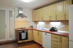 Kuchyň nebo kuchyňský kout v ubytování Apartment Sklipek Alsop