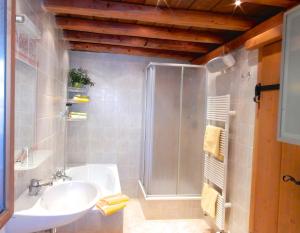 La salle de bains est pourvue d'une douche et d'un lavabo. dans l'établissement Ferienhaus Alpina Ötztal, à Sautens