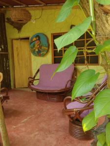 a room with two chairs and a tree at ECO Hostal Monolandia in El Zaino