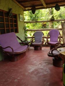 three chairs sitting on a porch with purple chairs at ECO Hostal Monolandia in El Zaino