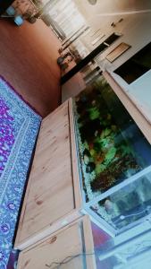 O bucătărie sau chicinetă la Primrose Hotel and Restaurant