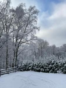 Aventur Studio 212 Am Rotharrsteig im Winter