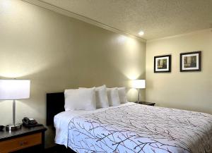 ein Bett in einem Hotelzimmer mit 2 Lampen und einem 6-dx-Bett in der Unterkunft Travelers Inn Elizabeth City in Elizabeth City