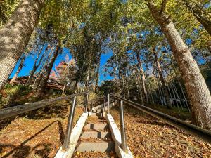 a set of stairs in a park with trees at Cabana Retrô com lareira e Ofurô em Monte Verde in Monte Verde