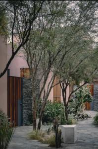 une cour avec des arbres et un bâtiment rose dans l'établissement Quinta Amores alojamiento, à San Miguel de Allende