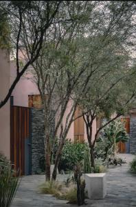 a courtyard with trees and a pink building at Quinta Amores alojamiento in San Miguel de Allende +65 photos