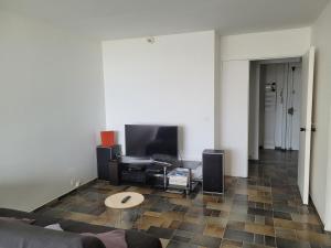 ein Wohnzimmer mit einem Sofa und einem Flachbild-TV in der Unterkunft Le 9ème étage du bonheur in Pointe-à-Pitre