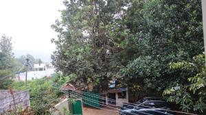 Un gran árbol con coches aparcados debajo. en Nakshatra Resort en Yelagiri