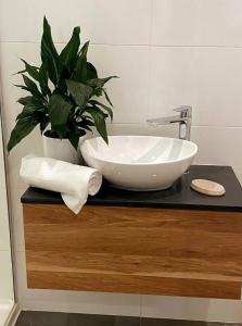 un bagno con lavandino e una pianta su un bancone di Great Ocean Road Wellness and Nature Stay a Apollo Bay