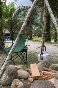 a green chair and a pot on a pile of rocks at Sahom Valley Resort - Agro & Eco Park in Kampar
