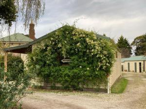 a building with a large bush of flowers on it at Winterbrook House in Ulverstone