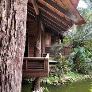 a wooden house with a porch and a tree at Sahom Valley Resort - Agro & Eco Park in Kampar