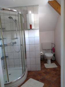 ein Bad mit einer Dusche und einem WC in der Unterkunft Apartments In Cuxhaven-Döse in Cuxhaven