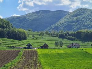 Príroda v okolí dovolenkového domu