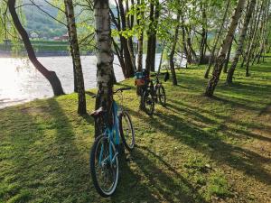 Jazda na bicykli v okolí ubytovania Domek Tworkowo Komfortowy Całoroczny