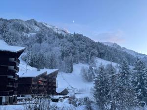 um alojamento de turismo selvagem na neve com uma montanha em Mountain River Appart em Val dʼIlliez