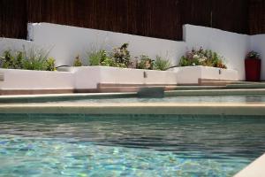 uma piscina com algumas plantas e água em Lindian Jewel Hotel and Villas em Líndos