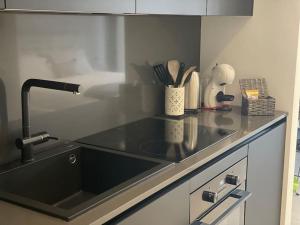 Kuchyň nebo kuchyňský kout v ubytování Dallas design suite apartment